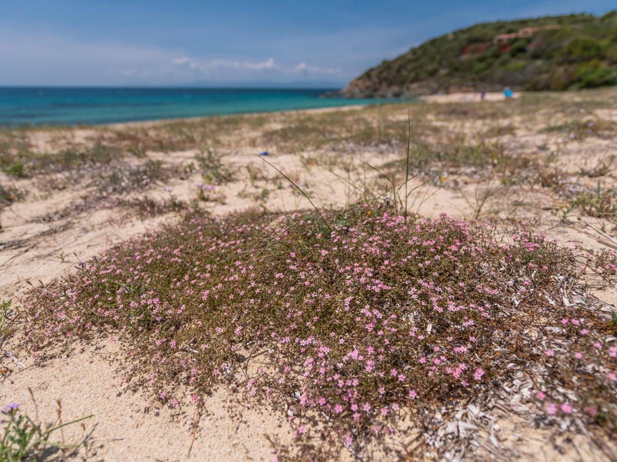Sardinia Spa Apartment Geremèas Екстериор снимка